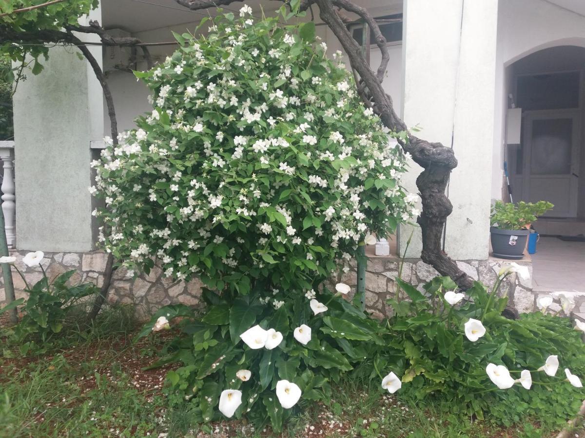 Olivera Apartments พูลา ภายนอก รูปภาพ